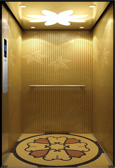Passenger Elevator